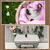 3Pcs 3 Colors Aluminium Alloy Cremation Urn DJEW-CN0001-28B-5