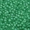 FGB Frosted Transparent Glass Seed Beads SEED-N013-02A-09-3