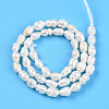 Natural Cultured Freshwater Pearl Beads Strands PEAR-N012-02X-2