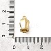 Brass Micro Pave Cubic Zirconia Pendants LS-KK-Q035-15G-01-3