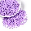 Opaque Colours Luster Glass Seed Beads SEED-T006-02D-3