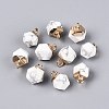 Natural Howlite Pendants G-N359-18G-14-1