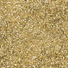 MIYUKI Delica Beads SEED-X0054-DB0042-3