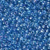 6/0 Round Glass Seed Beads SEED-US0003-4mm-163-2