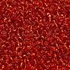 TOHO 6/0 Round Beads SEED-TR06-0025-4