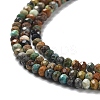 Natural HuBei Turquoise Beads Strands G-J400-C02-02-4