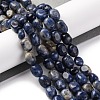 Natural Sodalite Beads Strands G-G146-A03-01-2