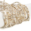 Natural Freshwater Shell Beads Strands BSHE-H109-13A-1