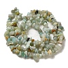 Natural Flower Amazonite Chips Beads Strands G-M205-12-01-3