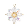 Glass Beaded Pendants PALLOY-MZ01186-01-1
