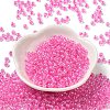 Glass Seed Beads SEED-H002-L-A240-2