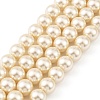 Preciosa® MAXIMA Crystal Nacre Pearls Y-PRC-NPA8-77500-2