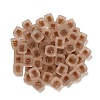 Frosted Acrylic European Beads OACR-G012-14D-3