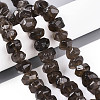 Natural Smoky Quartz Beads Strands G-N347-17A-01-1