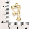 304 Stainless Steel Pendants LS-STAS-N117-01G-F-3