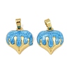 Brass Enamel Charms KK-F908-03G-01-1
