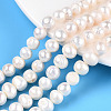 Natural Cultured Freshwater Pearl Beads Strands PEAR-N013-08G-01-1