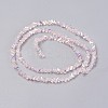 Electroplate Glass Bead Strands GLAA-F092-A07-2