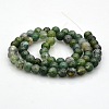 Natural Moss Agate Round Bead Strands G-N0120-30-6mm-2