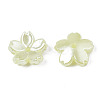 Acrylic Imitation Pearl Beads OACR-N012-002G-3