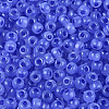 6/0 Transparent Inside Colours Glass Seed Beads SEED-N008-08E-3
