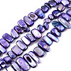 Natural Freshwater Shell Beads Strands X-SHEL-N026-123H-1