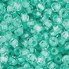 Glass Seed Beads SEED-A032-05M-3