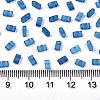 FGB 2-Hole Baking Paint Glass Seed Beads LS-X-SEED-S031-M-SH1205FR-2