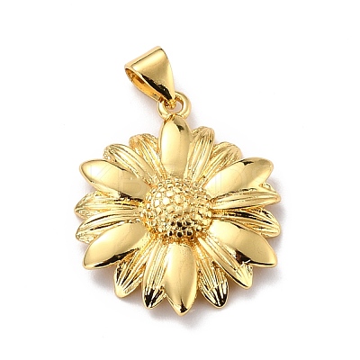 Eco-Friendly Brass Pendants KK-D066-31G-RS-1
