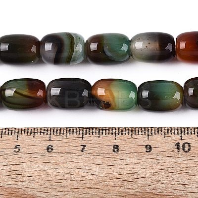 Natural Agate Beads Strands G-N356-02B-10-1