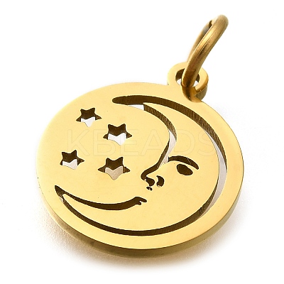 304 Stainless Steel Charms STAS-Z119-20G-1