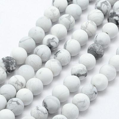 Natural Howlite Beads Strands G-F518-22-8mm-1