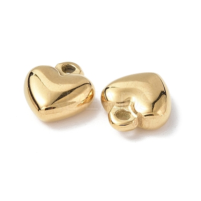 Ion Plating(IP) 304 Stainless Steel Charms X-STAS-C066-16G-1