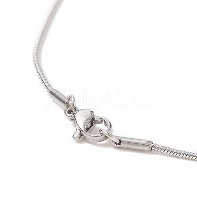 Non-Tarnish 304 Stainless Steel Snake Chain Necklaces NJEW-JN04190-1