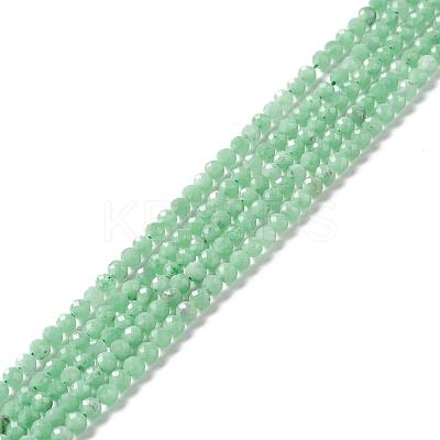 Natural Glass Beads Strands G-M390-04B-1