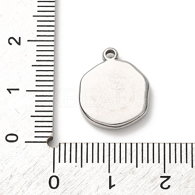 304 Stainless Steel Pendants LS-STAS-I348-02P-02-1