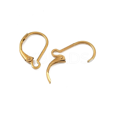 Ion Plating(IP) 304 Stainless Steel Leverback Earring Findings LS-STAS-K233-04G-01A-1