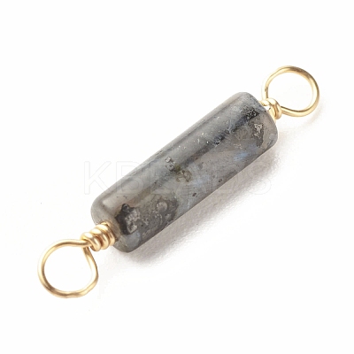 Natural Larvikite Connector Charms PALLOY-JF01454-05-1