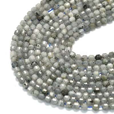 Natural Labradorite Beads Strands G-A260-A44-01B-1