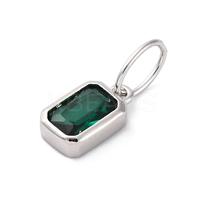 925 Sterling Silver Cubic Zirconia Charms STER-NH0014-01P-05-1