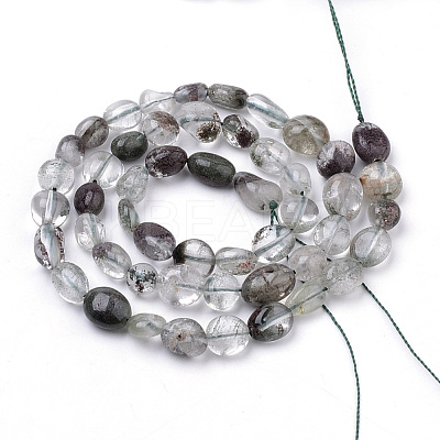 Natural Green Lodolite Quartz/Garden Quartz Beads Strands G-Q952-11-6x8-1