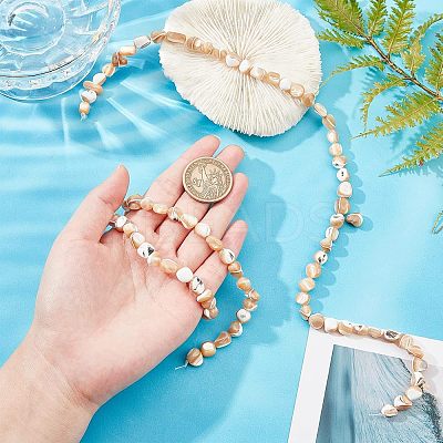 2 Strands Natural Trochid Shell/Trochus Shell Beads Strands SSHEL-FH0001-11-1