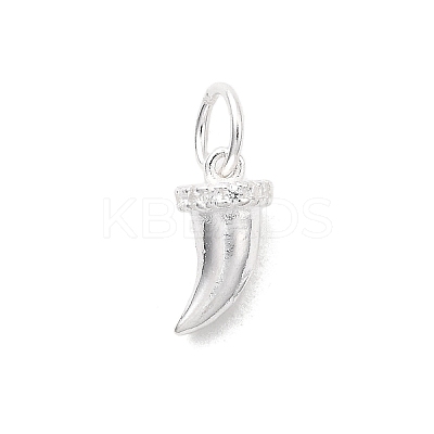 925 Sterling Silver Micro Pave Cubic Zirconia Charms STER-D309-01B-S-1