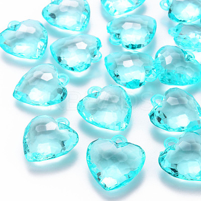 Transparent Acrylic Pendants TACR-T024-03B-946-1