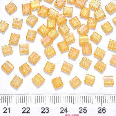 FGB 2-Hole Baking Paint Transparent Glass Seed Beads LS-X-SEED-S031-L-251-1