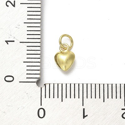 925 Sterling Silver Pendants LS-STER-P057-07A-G-1