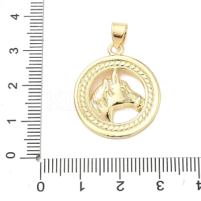 Brass Pendants KK-H539-19G-G-1