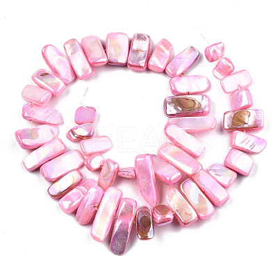 Natural Freshwater Shell Beads Strands SHEL-N026-123B-1