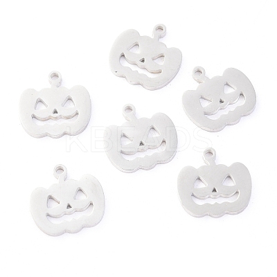 Non-Tarnish 304 Stainless Steel Charms STAS-O142-31P-1