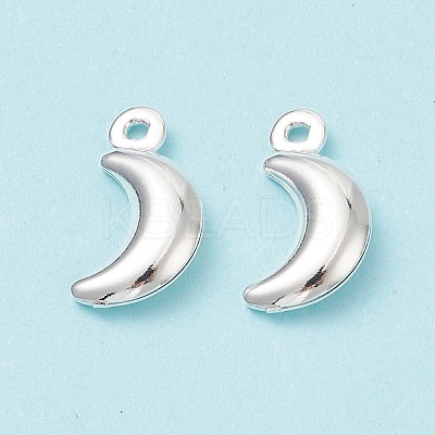 304 Stainless Steel Pendants STAS-I138-05S-1